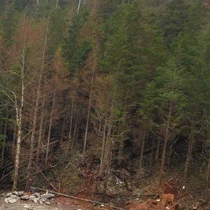 Meet your Posher, Saber